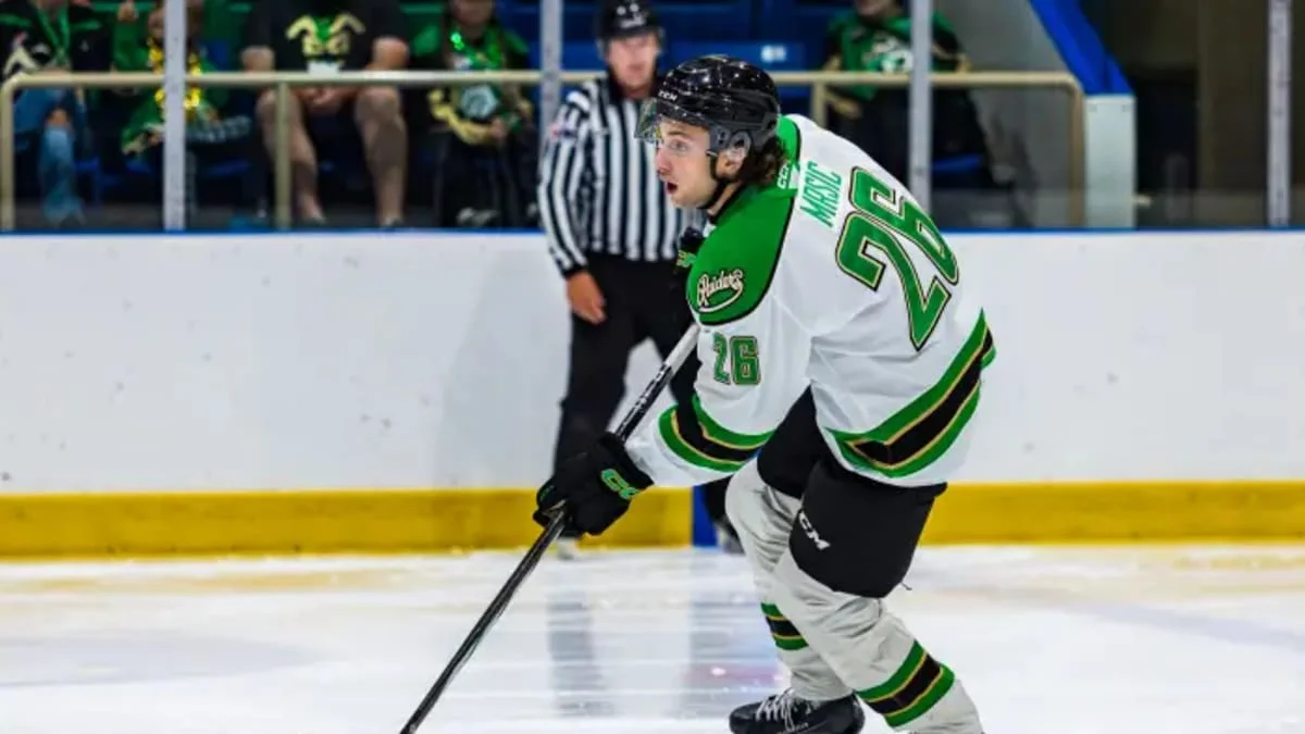 Top Blues pick’s ‘exciting’ acts as SSP hopeful ‘almost a certainty’ - 1