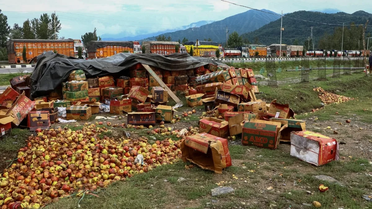 ‘I only see losses’: Omar warns of threat to Kashmir’s fruit growers from new Indo-US trade deal - 1