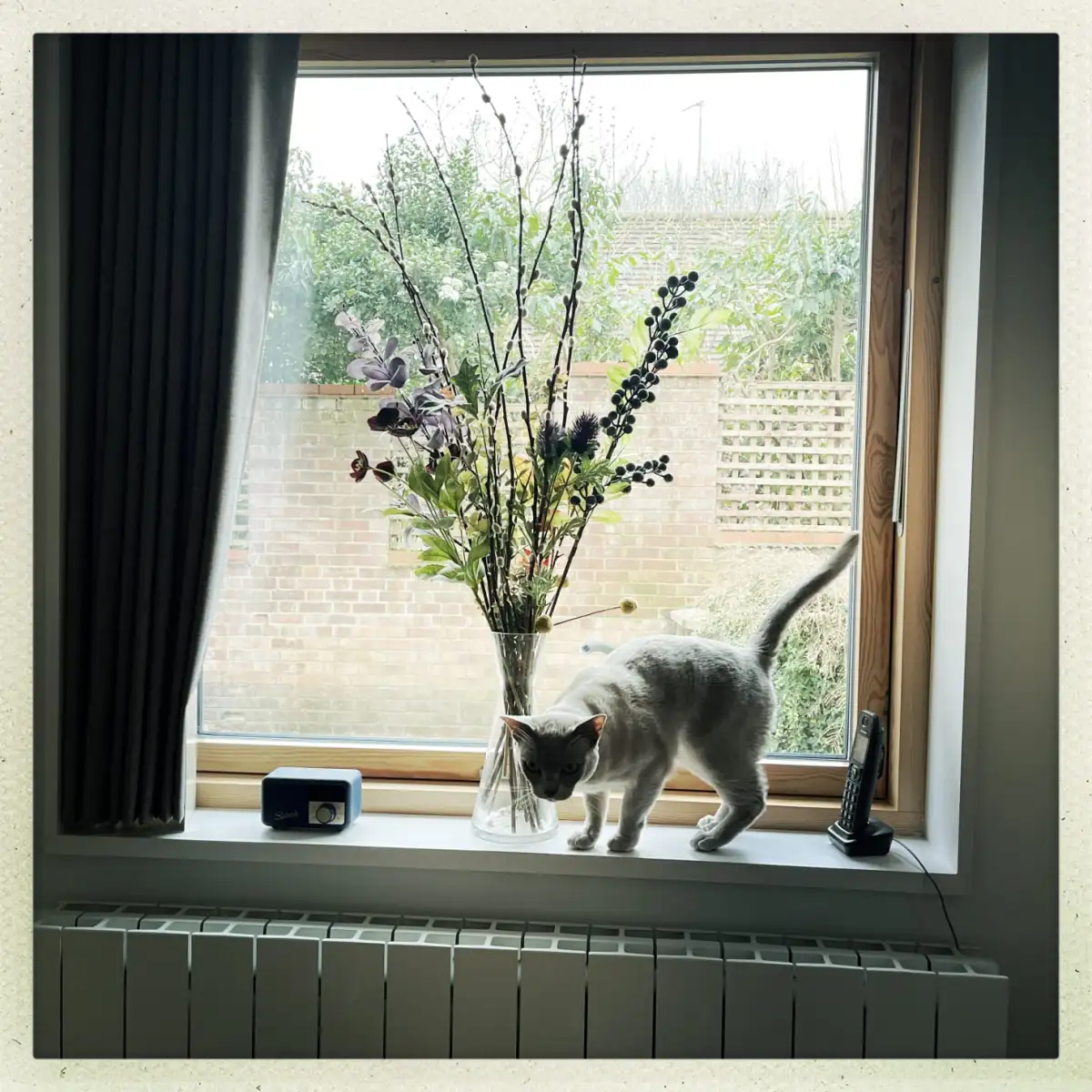 I expect friends to let me down and then I play the victim. How can I stop? | Annalisa Barbieri - 1