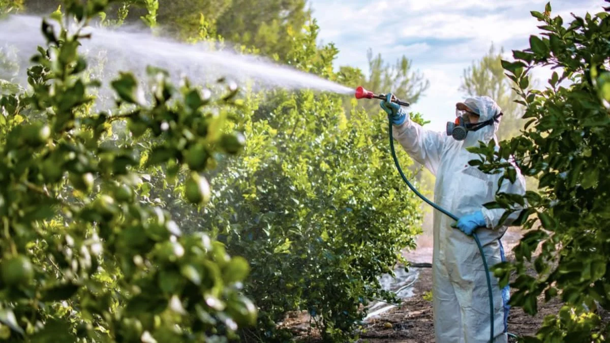 Republican House bill guts laws protecting US consumers from toxic chemicals - 2