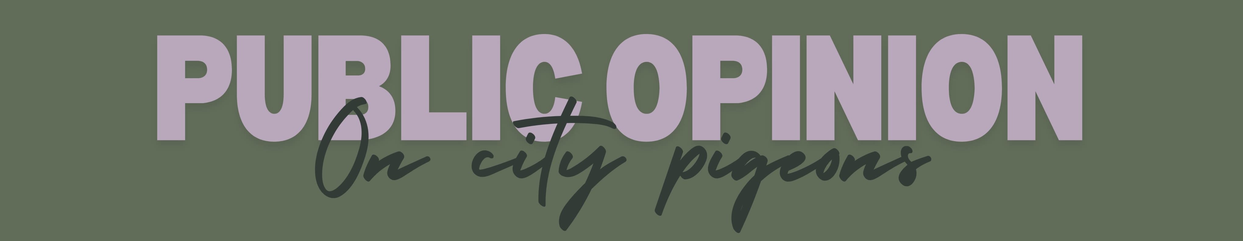 Pooping menaces or ‘flying puppies’? How pigeons are dividing a UK city - 3