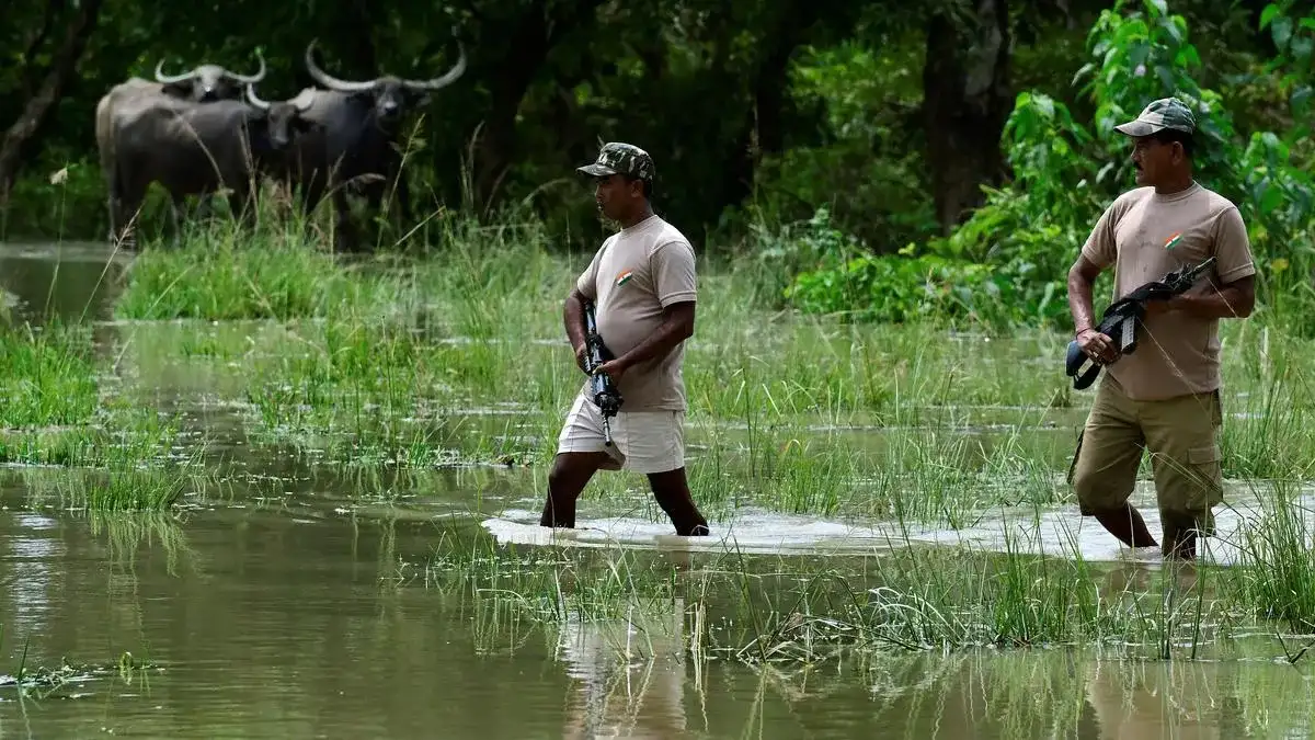 The US labor market right now can be defined by one word: Whiplash - 4