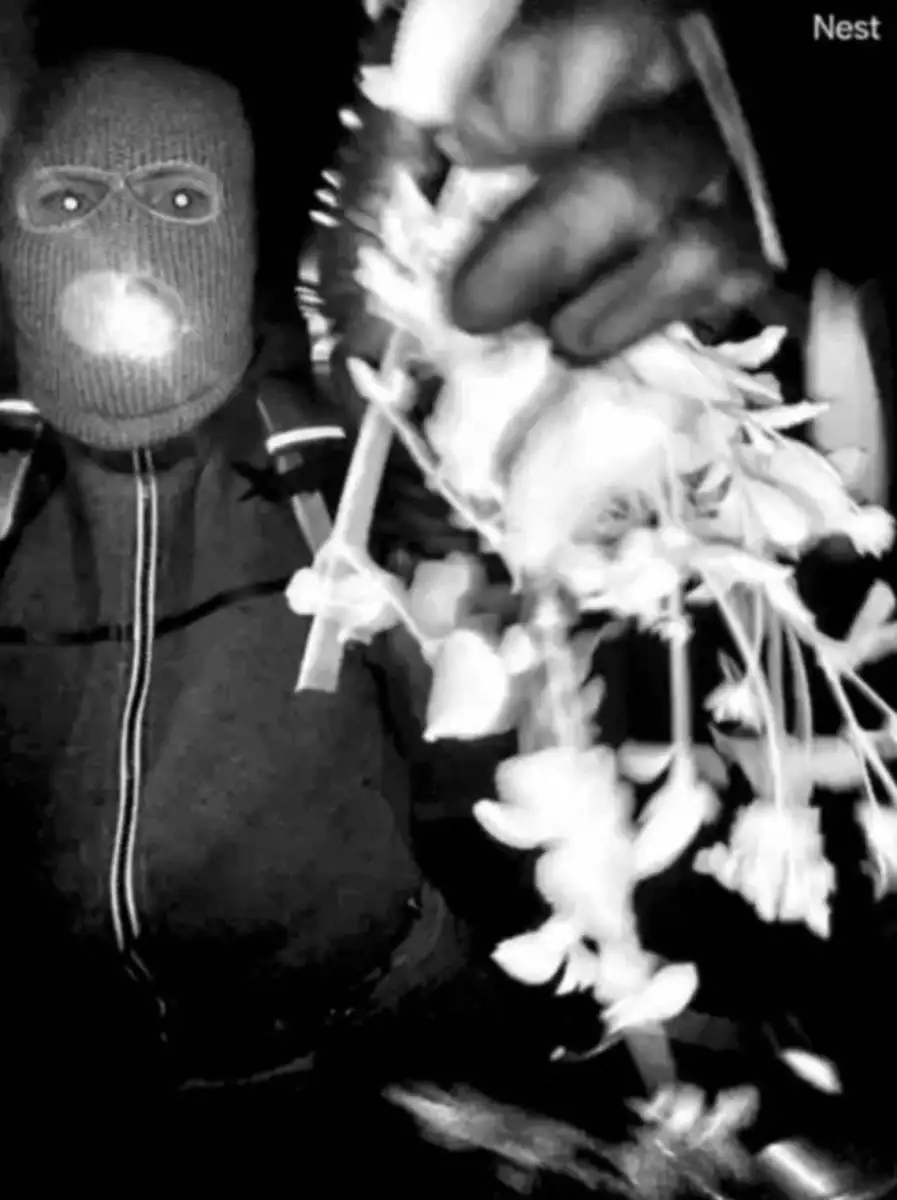 Terrifying threat in latest Nancy Guthrie ransom note: 'You're not taking me seriously' - 4