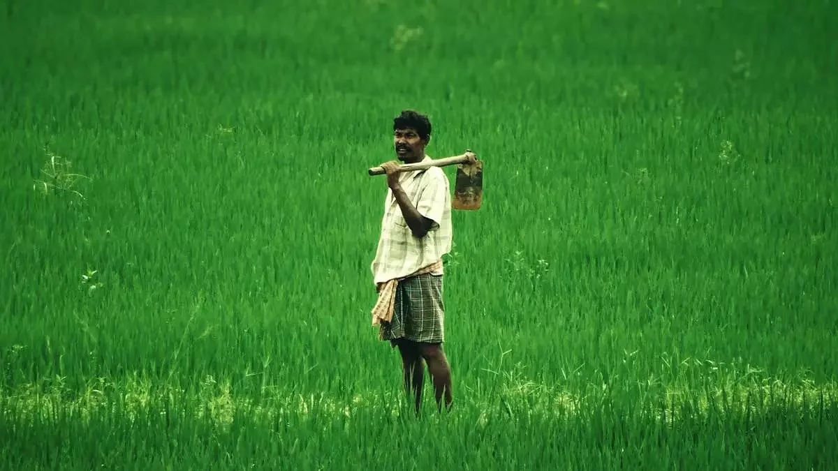 Maharashtra forms task force to address climate change and prevent farmers’ suicides - 2