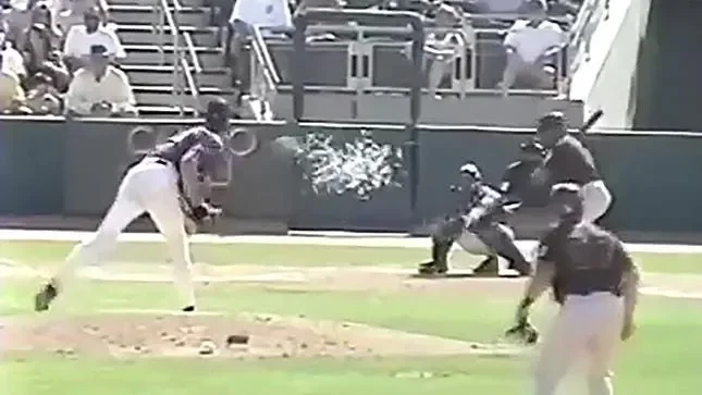 'Nobody would've believed it if there wasn't a video': Remembering Randy Johnson's bird pitch - 1
