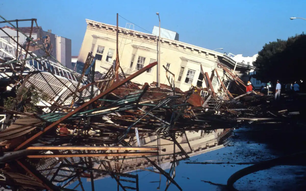 Can animals sense earthquakes? - 3