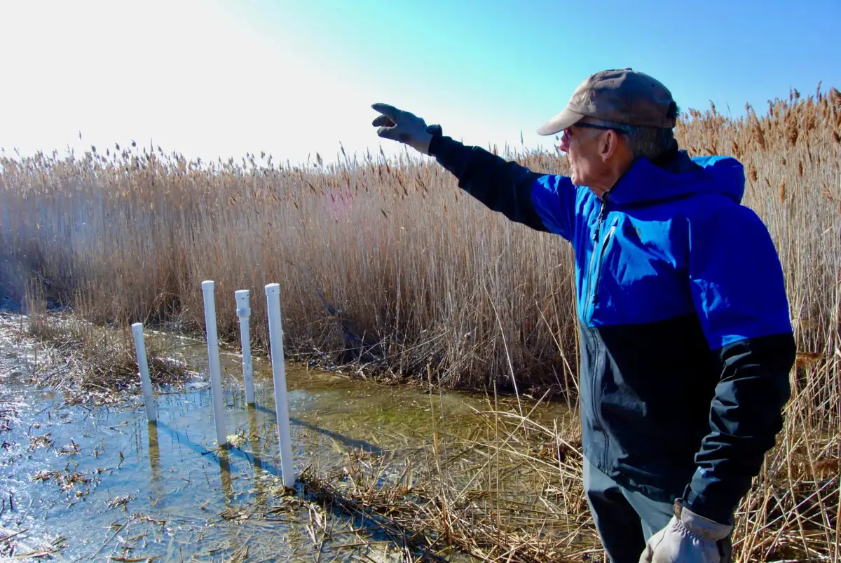 Teach Yourself Critical Theory with German Foundations : r/philosophy - Reddit - 3