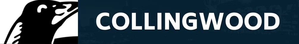 Surgery sidelines Brownlow Medallist; latest Giant blow opens door for ex-Don — Predicted R1 teams - 4