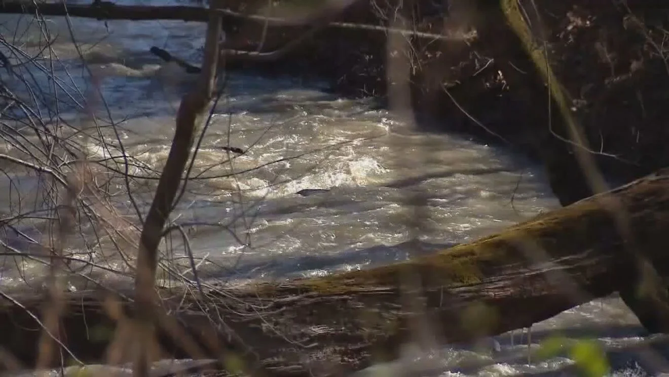 The D.C. Sewer Catastrophe Is Part of the Deconstructionist Plot - 4