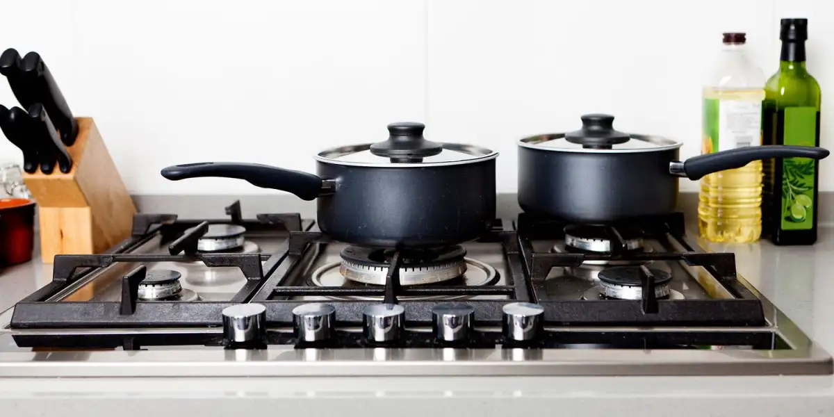 Gas, Electric or Induction? How to Choose the Best Stove for Your Kitchen - 1