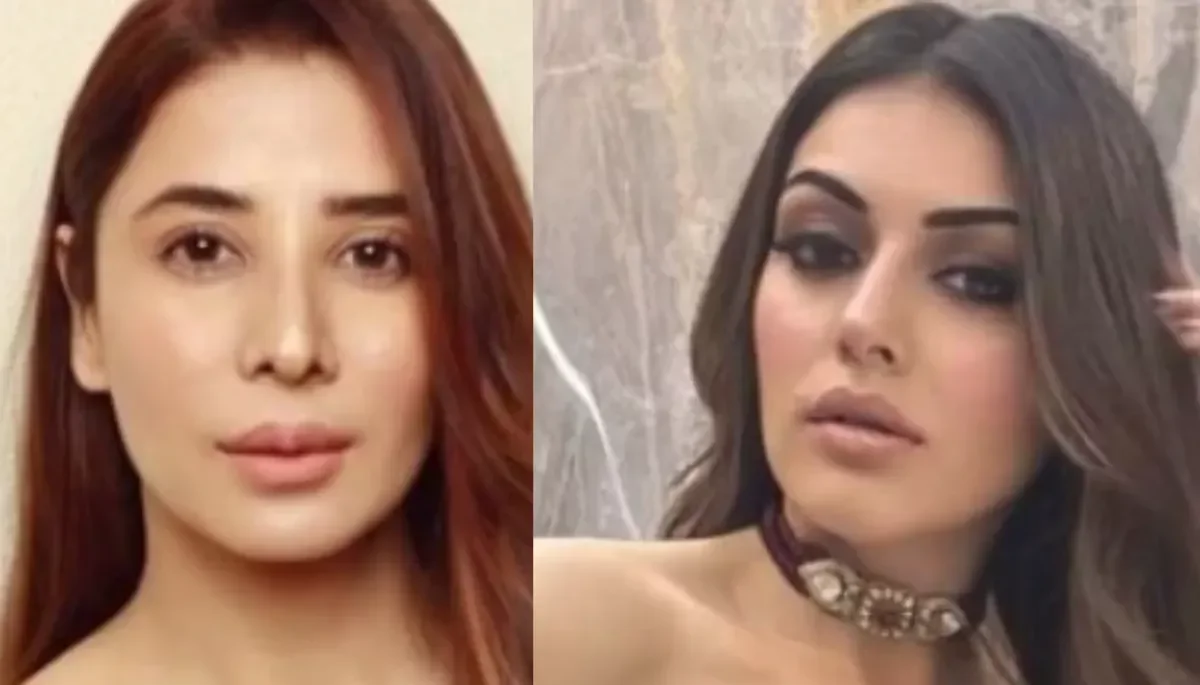 Hansika Motwani files Rs 2 crores defamation suit against sister-in-law Muskan Nancy James amid legal battle - 4