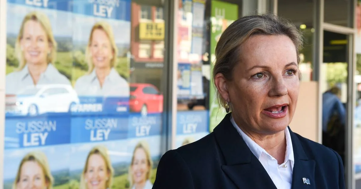 The race for Farrer, and a strange saga that left the Liberals in shock - 2