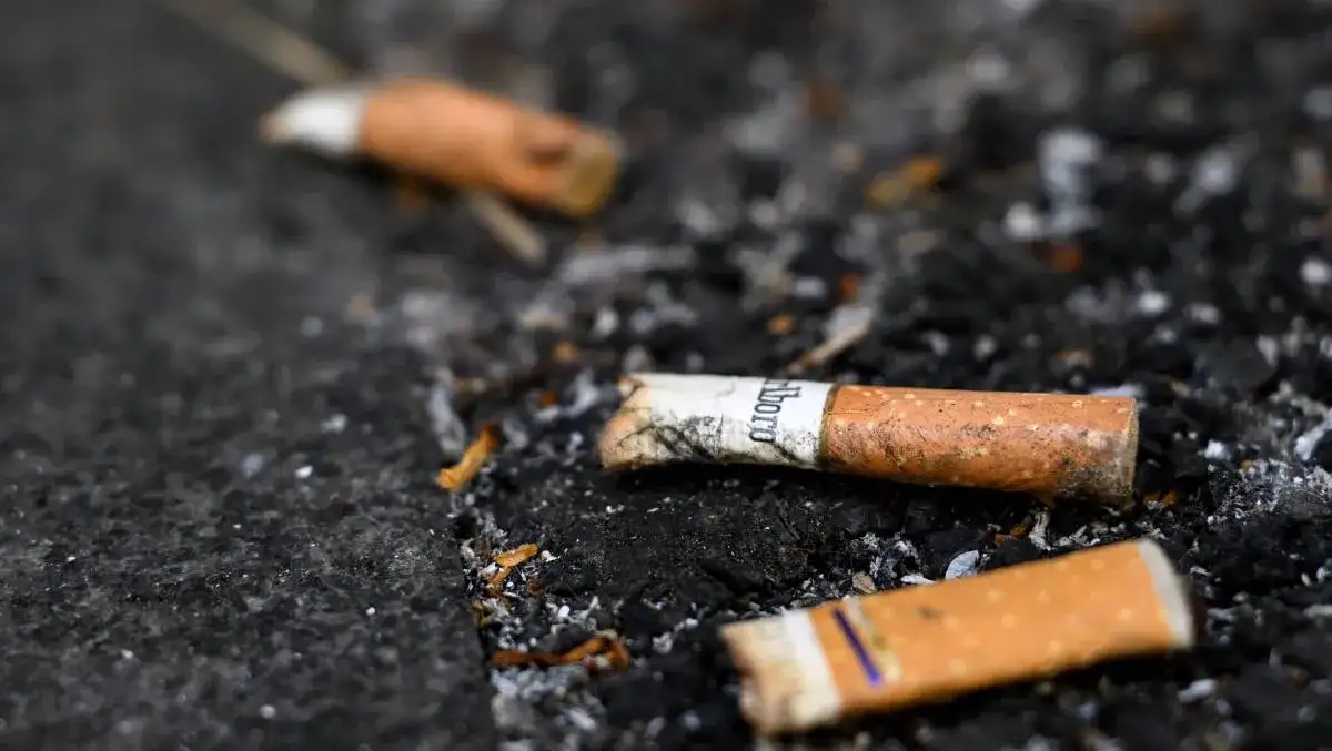 War on illegal tobacco unwinnable without price change: Border Force - 3