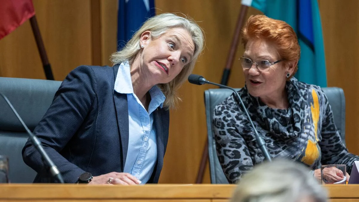 Angus Taylor faces leadership test in Farrer byelection as independent vows to ‘finish what we started’ and oust Liberals - 1