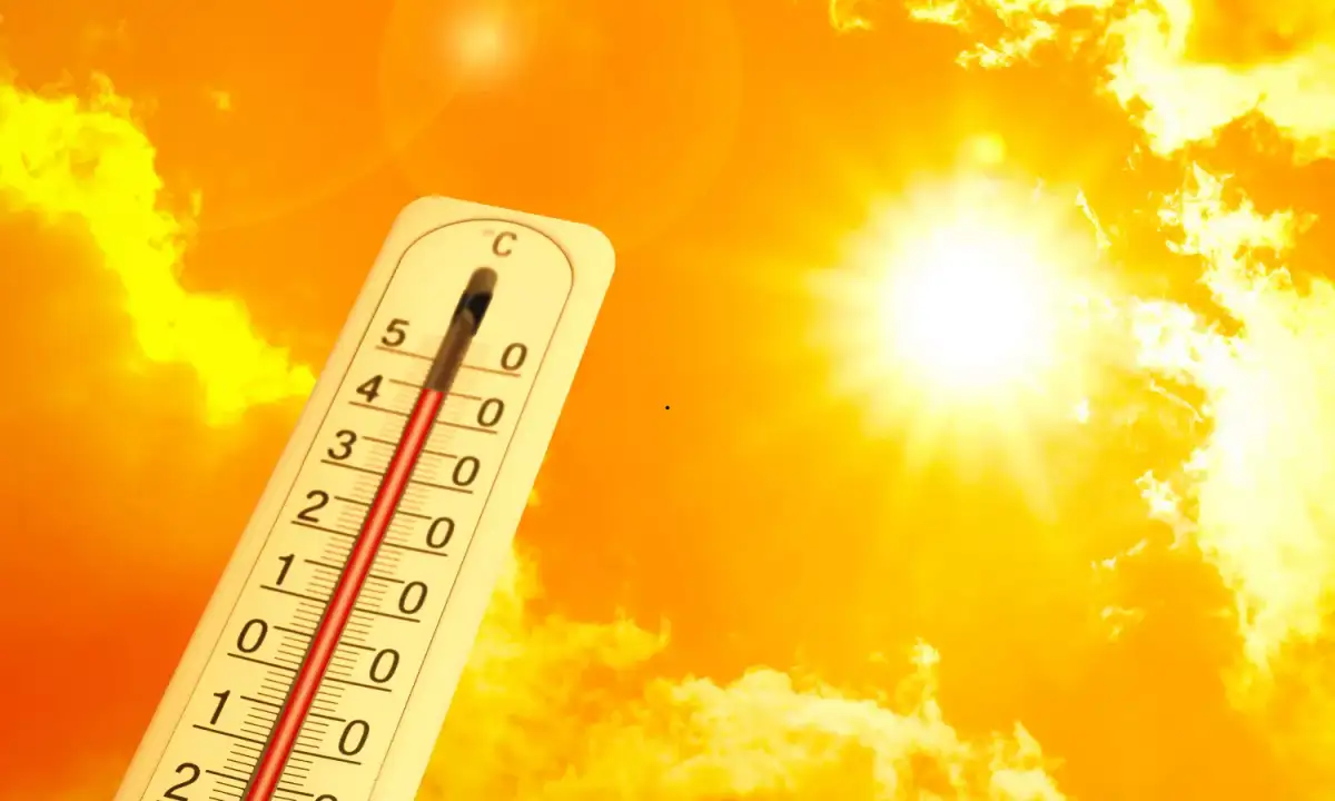 Telangana: Temperatures Touch 41°C in Several Districts - 2