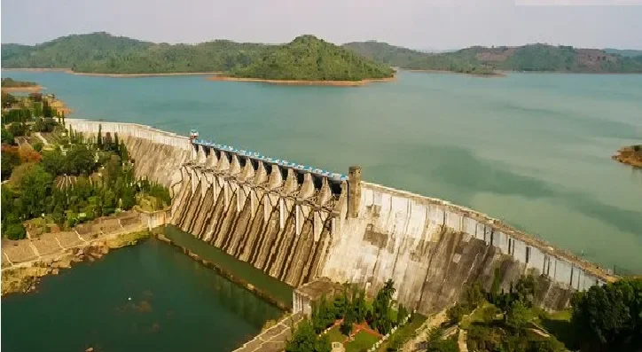 Five Children Drown in Separate Incidents in Odisha - 1