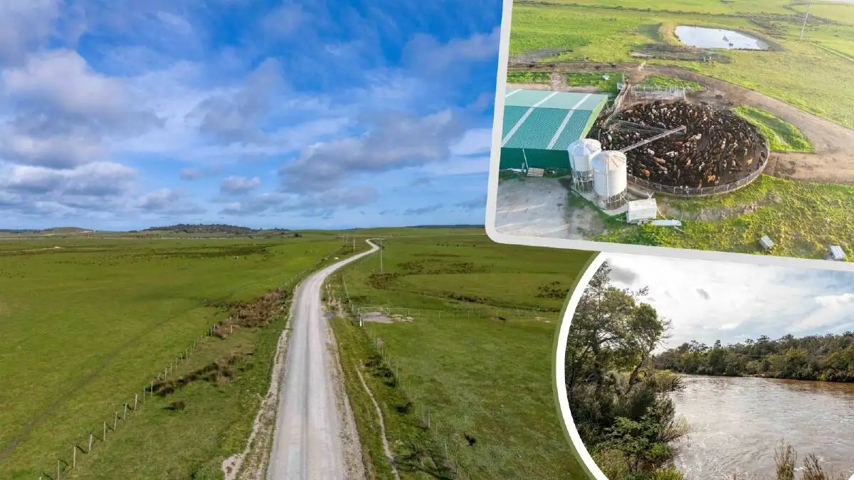 Tasmania's largest farm could be sold to UK forestry investors - 2