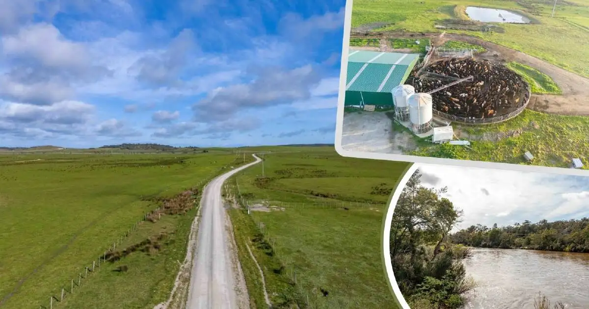 Tasmania's largest farm could be sold to UK forestry investors - 4