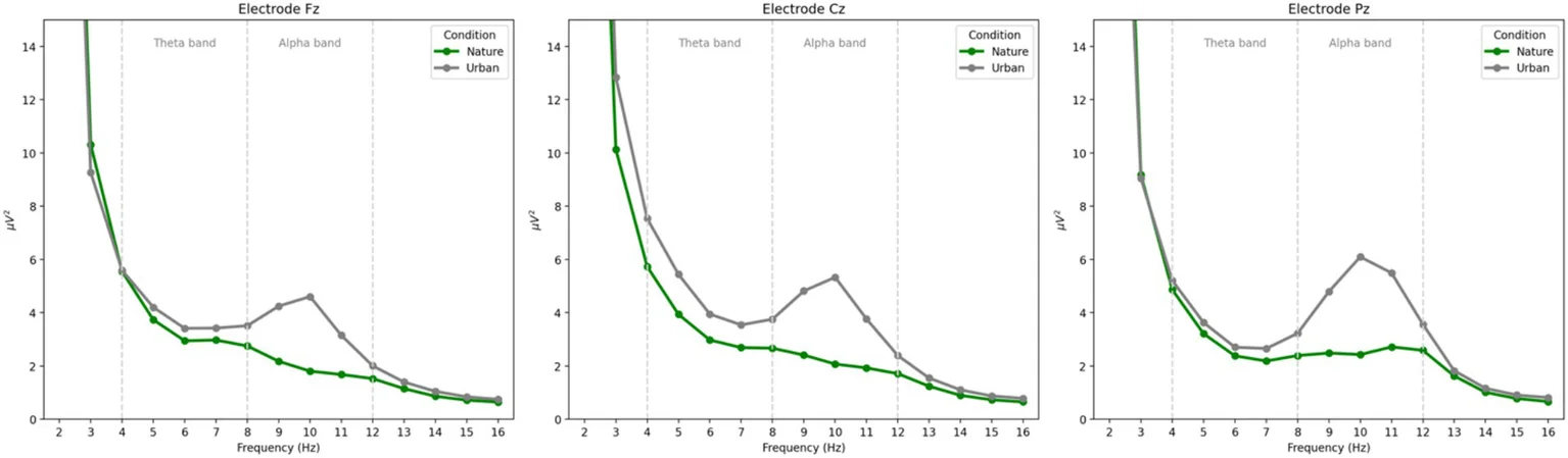Brain responses to wildlife images can forecast online engagement—and help conservation messaging - 4