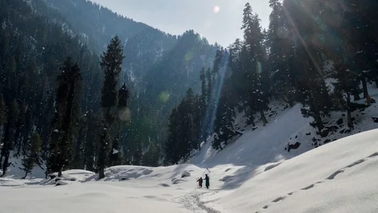 Fresh snowfall transforms Kashmir valley; avalanche and travel advisories issued - 1