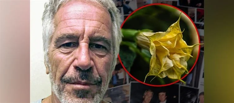 Epstein kept a secret garden of mind-controlling plants that turn people into 'zombies,' emails show - 2