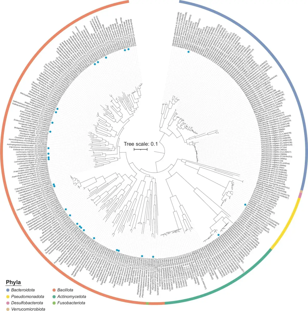 Scientists find a new clue to help them identify a healthy gut microbiome - 4