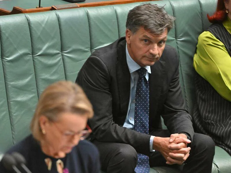 Sussan Ley looks doomed but Angus Taylor would still face a huge job - 3
