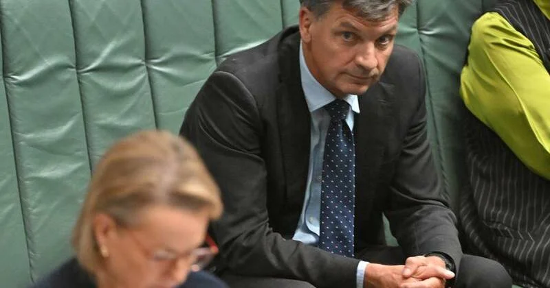 Sussan Ley looks doomed but Angus Taylor would still face a huge job - 4