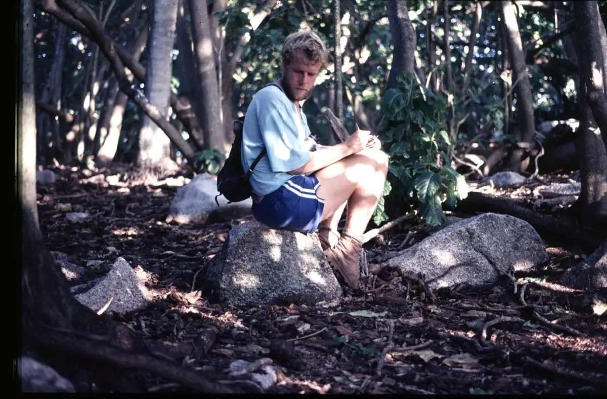 Island warbler study finds immune genes shape gut bacteria in the wild - 3