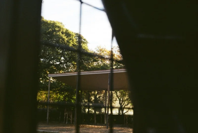 Collective Monologue review – sensuous zoo study foregrounds contacts between keepers and creatures - 2