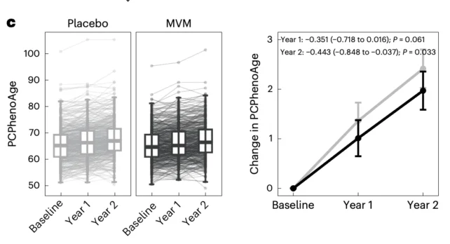 Taking multivitamin daily could help to slow biological ageing, study suggests - 3