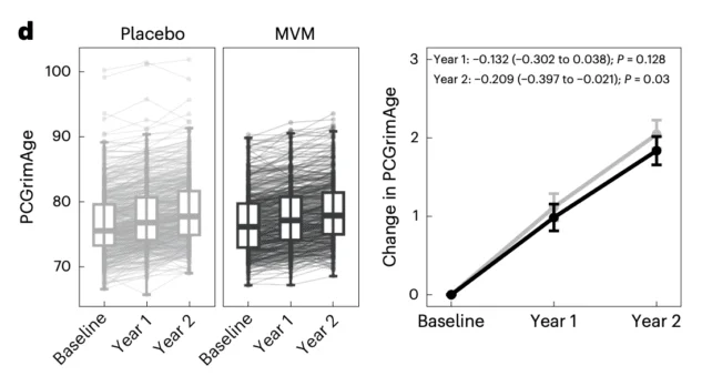 Taking multivitamin daily could help to slow biological ageing, study suggests - 2