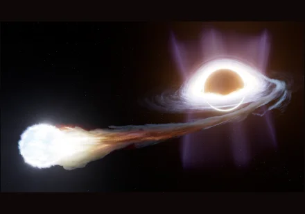 HKU Astrophysicists Contribute to Interpreting a Possible First-Ever Einstein Probe Observation of a Black Hole Tearing Apart a White Dwarf - India Education Diary - 4