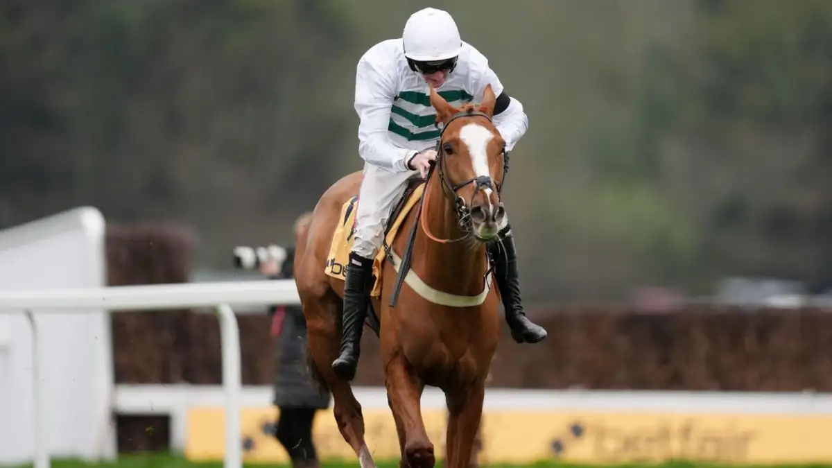 Mondo Man seeking Imperial honours at Sandown - 1