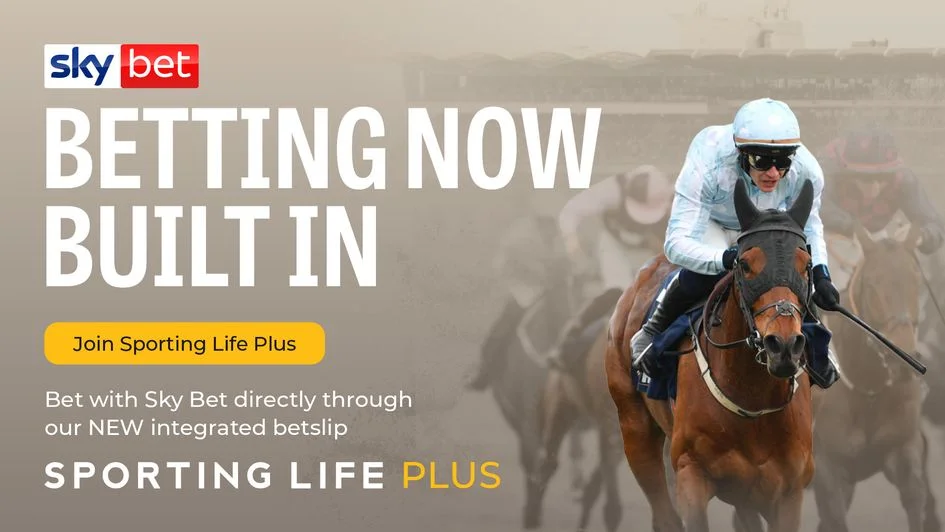 Paul Nicholls says Constitution Hill run on the Flat ‘a lot of hype about nothing’ - 1