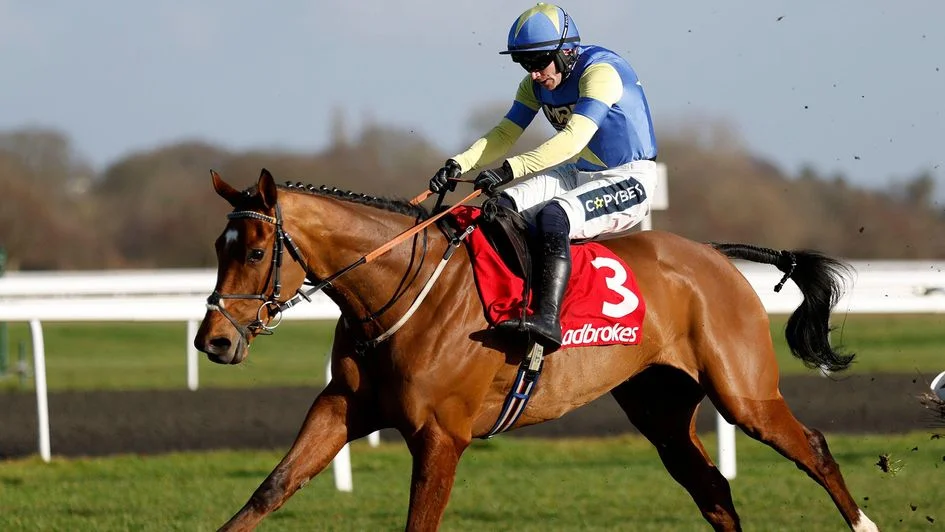 BREAKING: Constitution Hill race result at Southwell confirmed after making Flat debut - 4