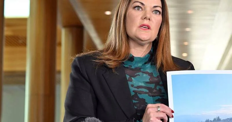 Algal bloom report lashed as 'vanilla' by scientist turned political candidate - 3