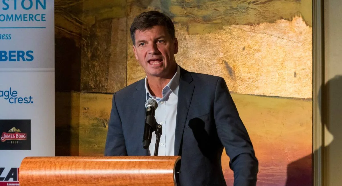 Angus Taylor resigns from shadow cabinet ahead of expected Liberal leadership challenge - 3