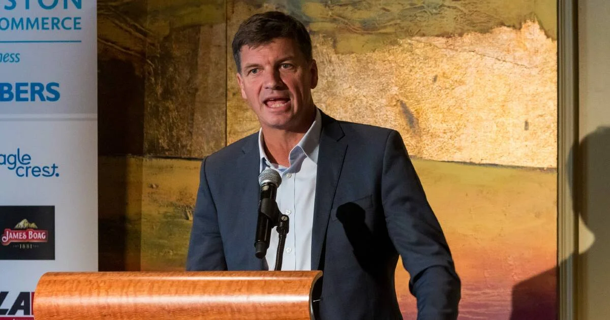Angus Taylor resigns from shadow cabinet ahead of expected Liberal leadership challenge - 4