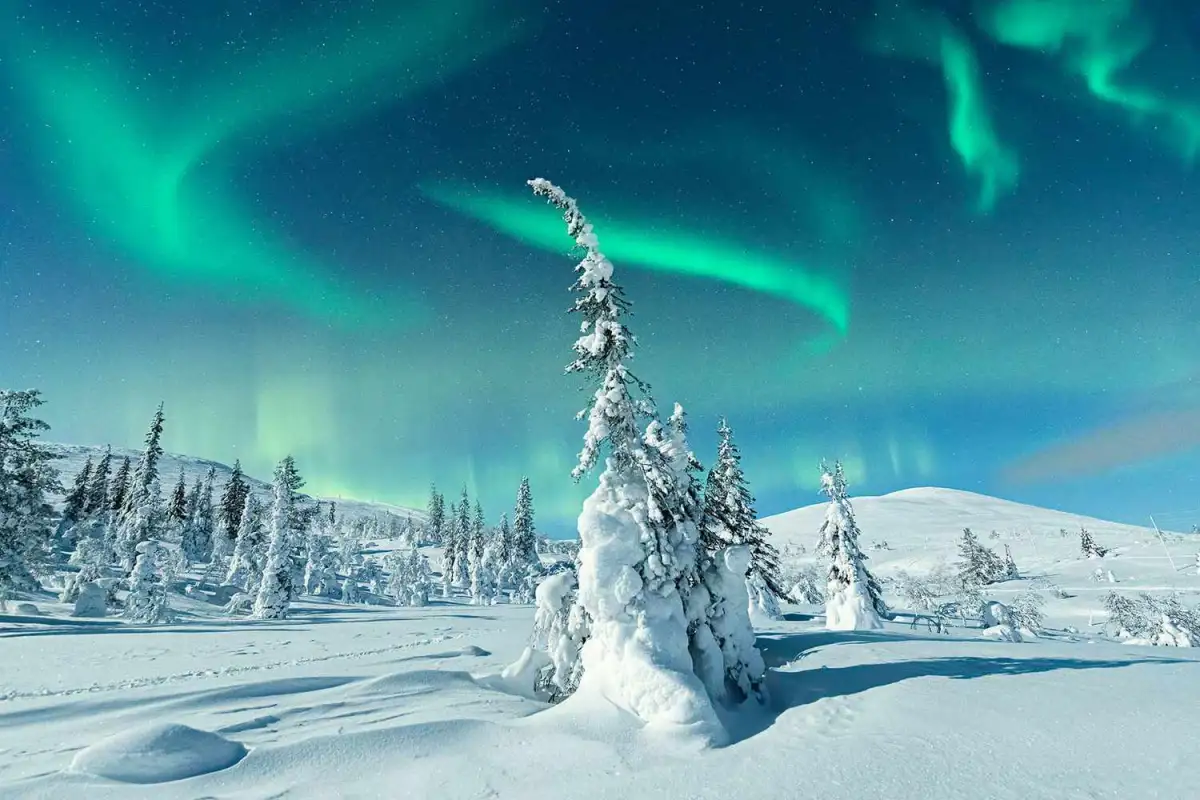 The northern lights have peaked. Here’s how to see them before they fade. - 2