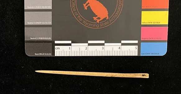 Coimbatore’s e-learning initiative on marine life - 3