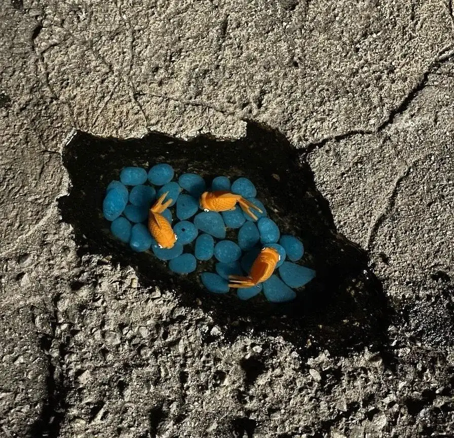 'Potholes need repair before somebody gets killed' - 3