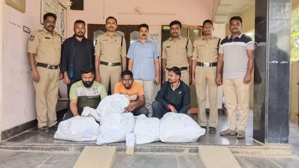 Excise department intensifies crackdown against ganja, drugs and non-duty paid liquor - 1